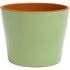 Deroma 7.7" cabo flower pot sage product photo