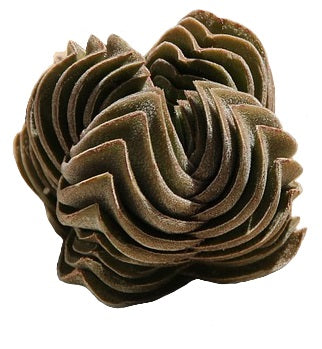 3" Crassula Buddha Temple plant photo
