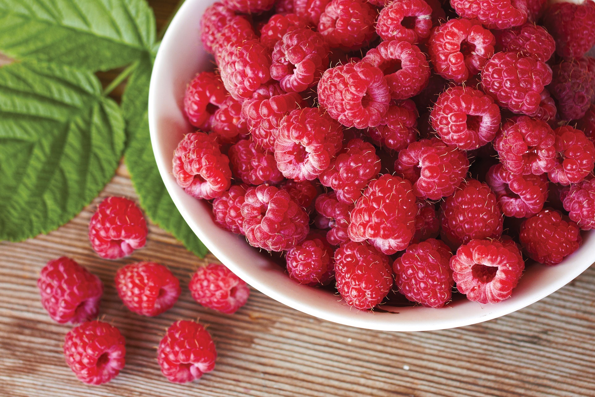 Heritage Raspberry Bush 