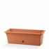 Emma Rectangular 20”x8” Planter Terracotta product photo
