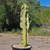 5g Euphorbia Ammak plant photo