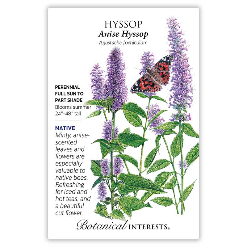 Hyssop Anise Seed Packet