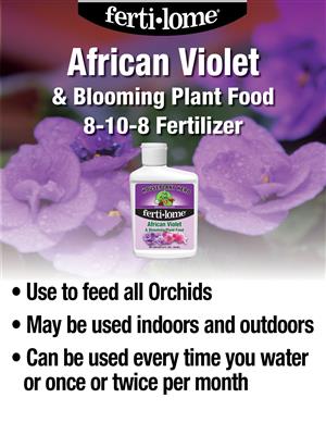African Violet Food 8 oz