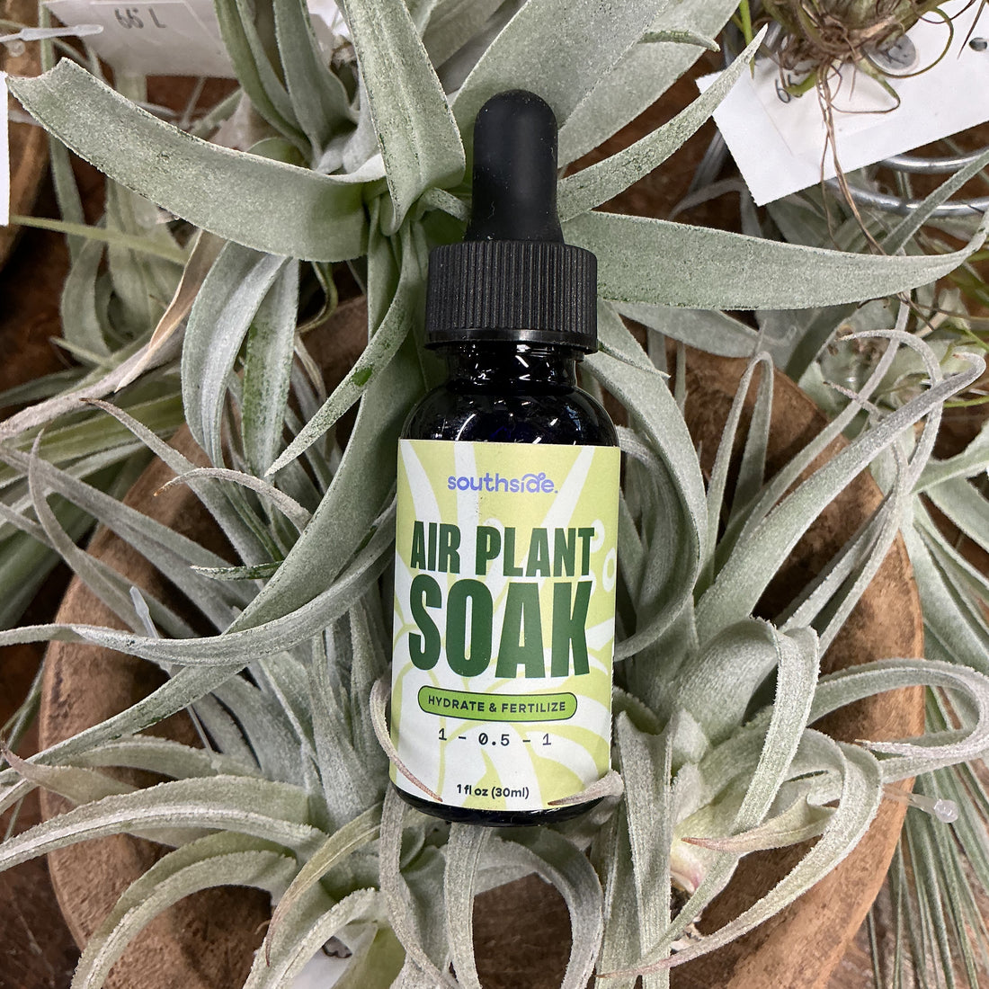 Southside Air Plant Soak 1 oz