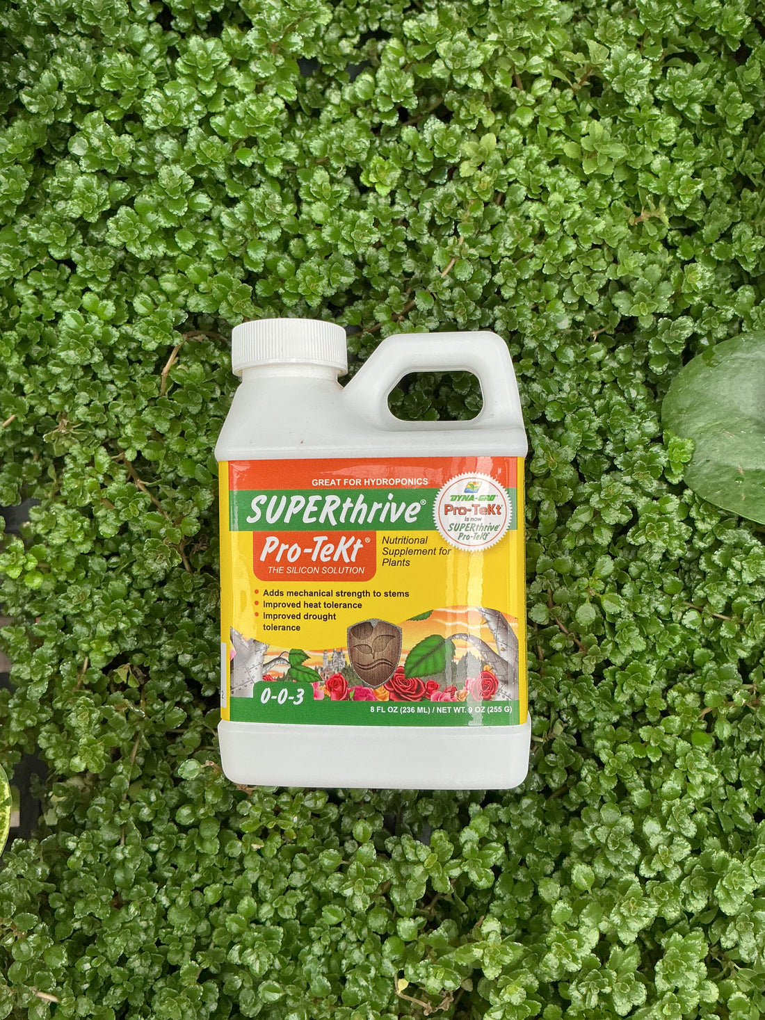 SuperThrive Protect 8 oz