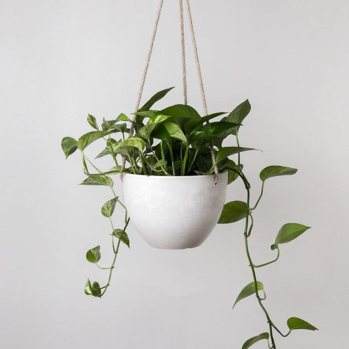 Kanso Designs