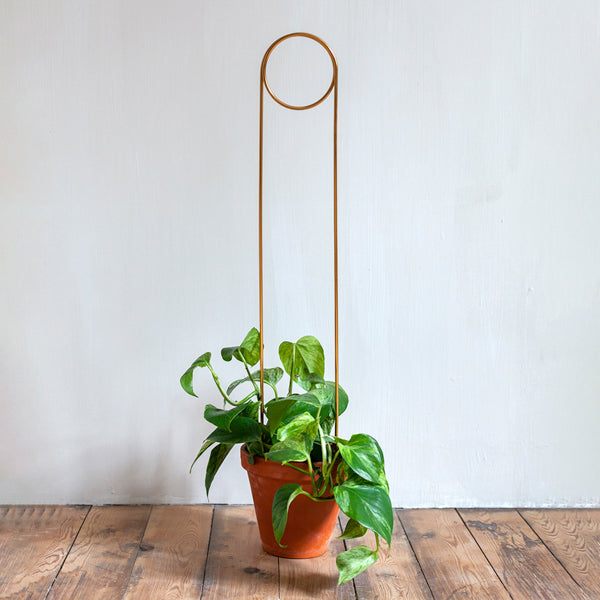 Botanopia Golden Plant Stake-Pin
