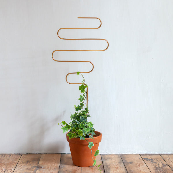 Botanopia Golden Trellis - Squiggle
