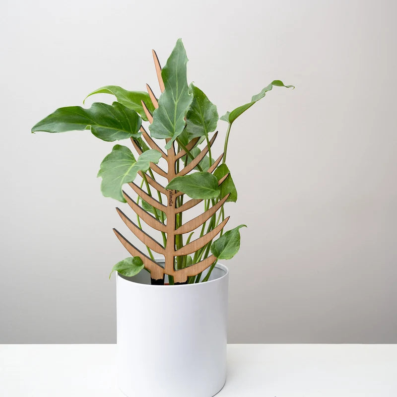 Treleaf Palmella Trellis
