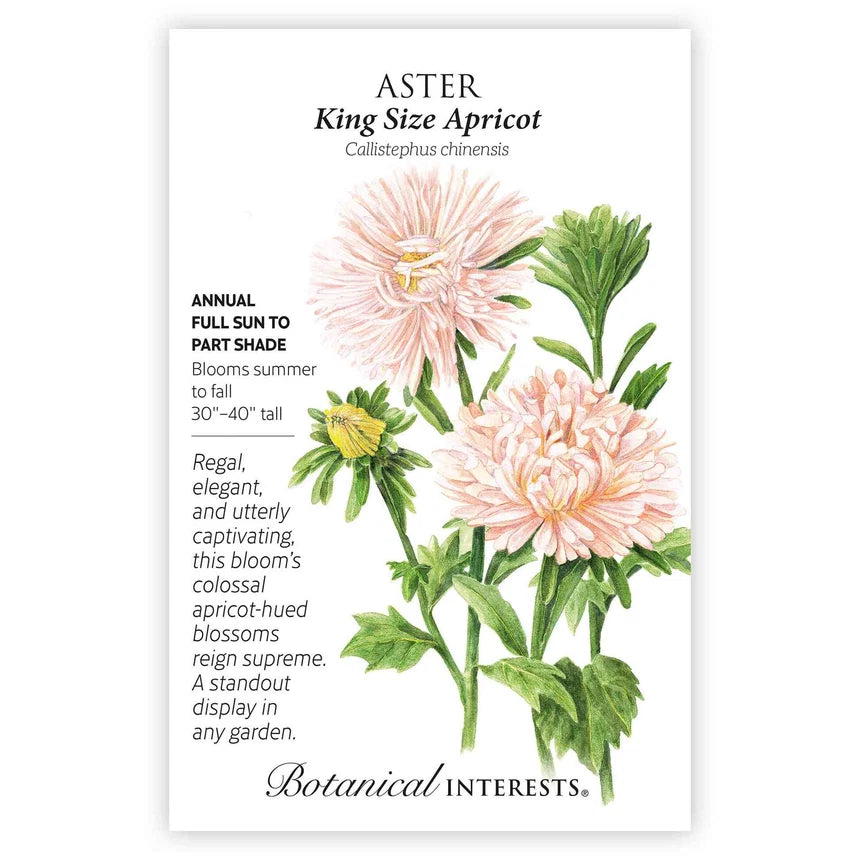 Aster King Size Apricot Seed Packet