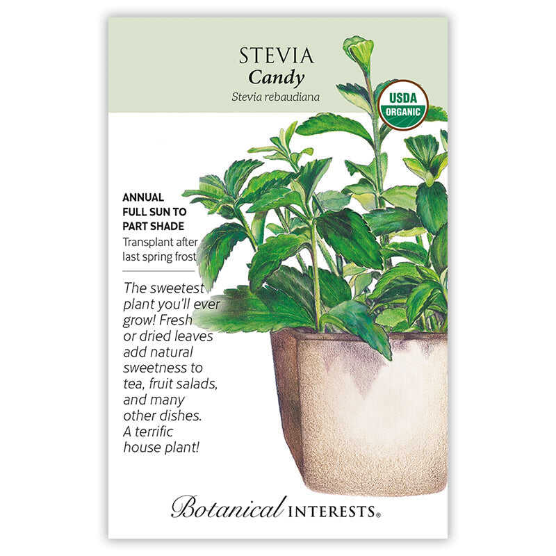 Stevia Candy Org Seed Packet