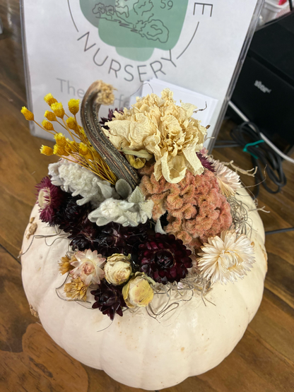 Dried Flower Pumpkin Arranging Workshop Ticket