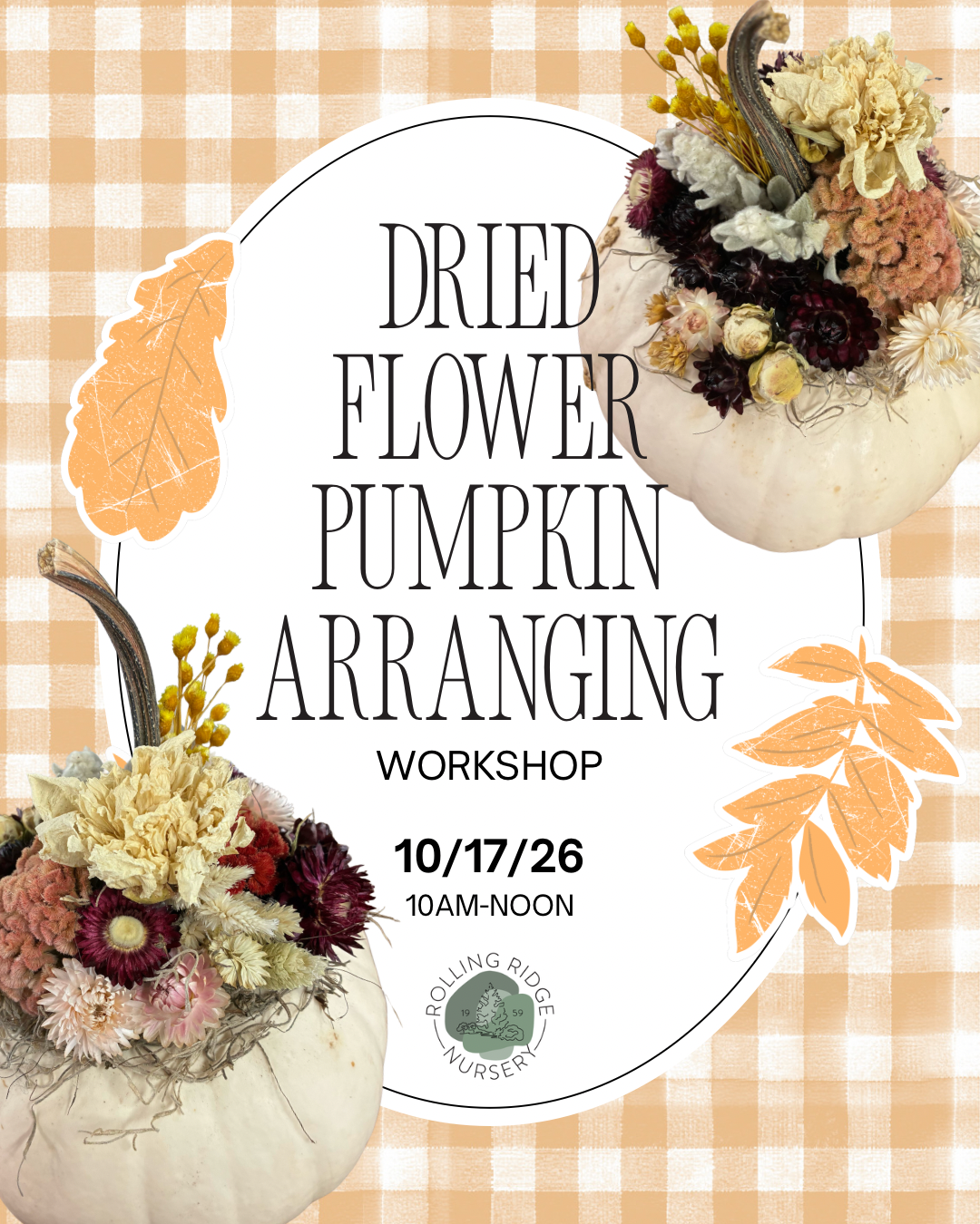 Dried Flower Pumpkin Arranging Workshop Ticket