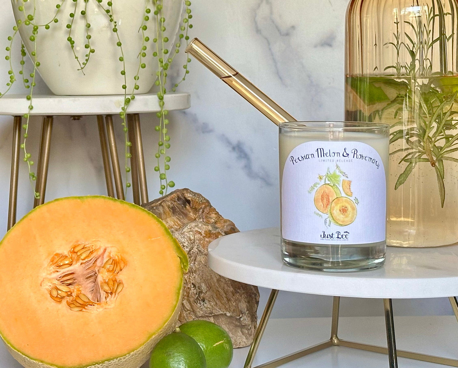 Persian Melon and Rosemary Candle 3.5 oz product photo