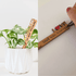Treleaf Celebration Stake Assorted product photo