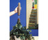 Mosser 12” totem pole plant support product photo