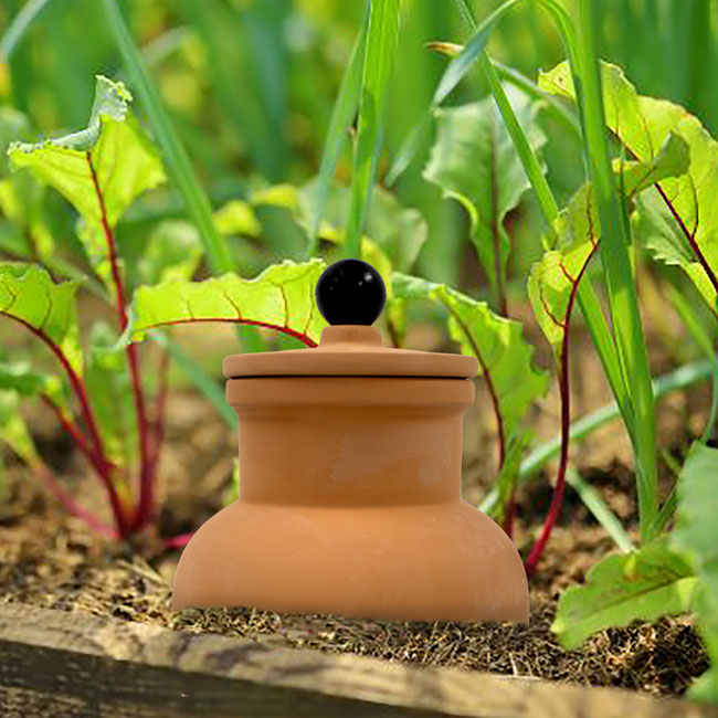 Plant Nanny Olla product photo
