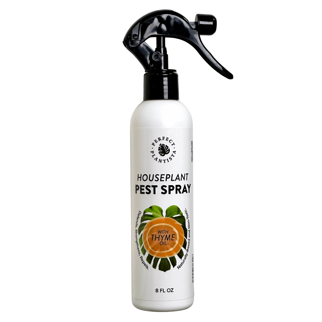 Houseplant Pest Spray 8 oz product photo