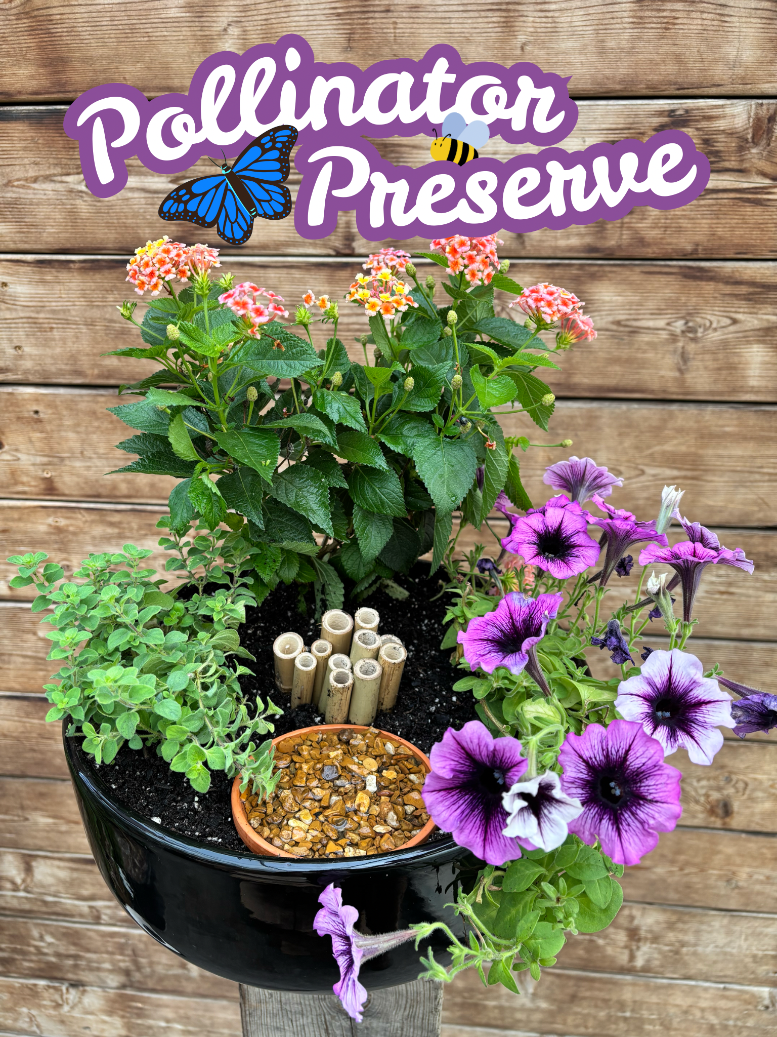 Pollinator Preserve Workshop