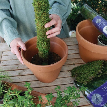 Super moss 2.5’ moss pole preserved product photo