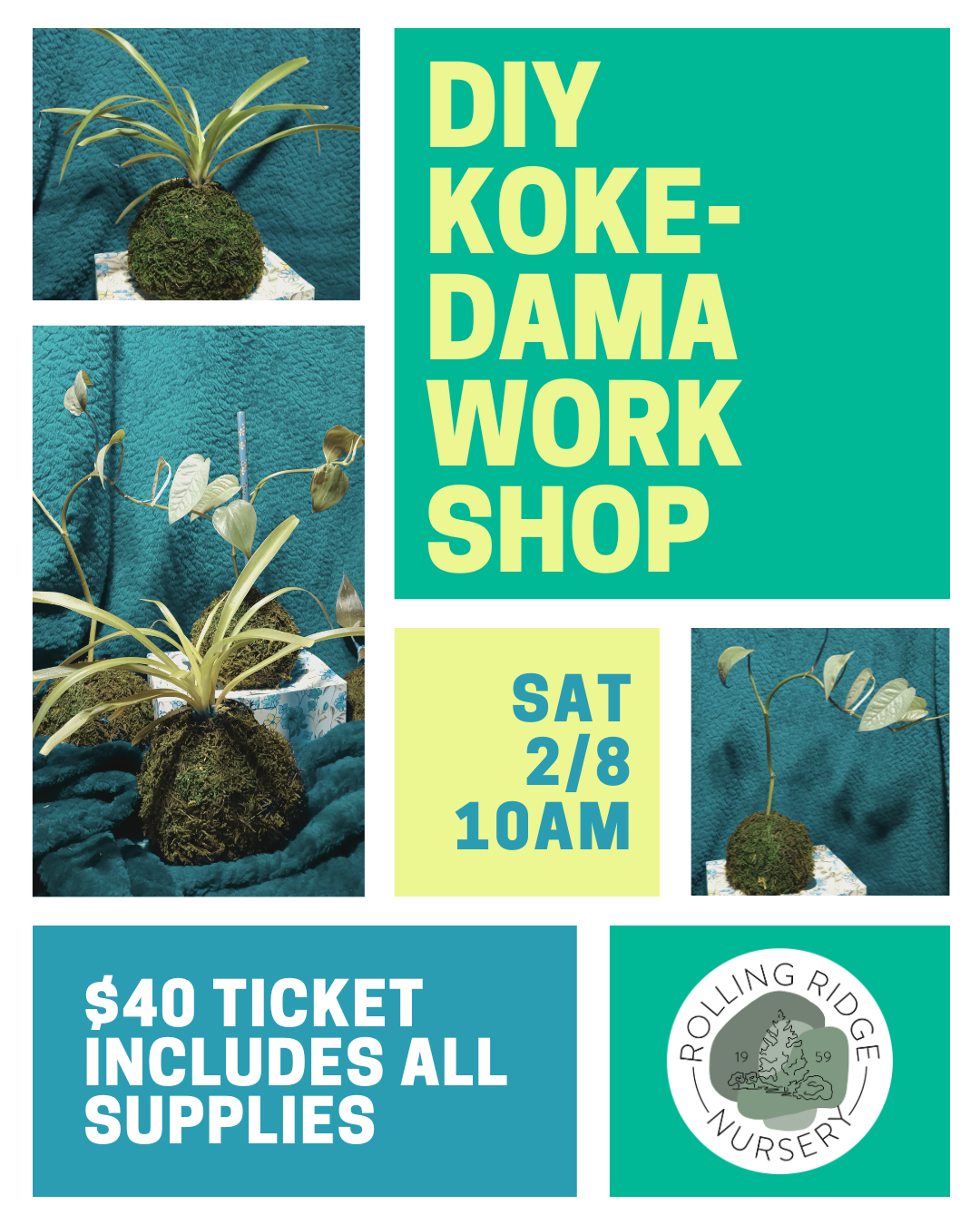 Kokedama Workshop Ticket