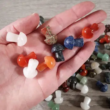 Gemstone Mushrooms
