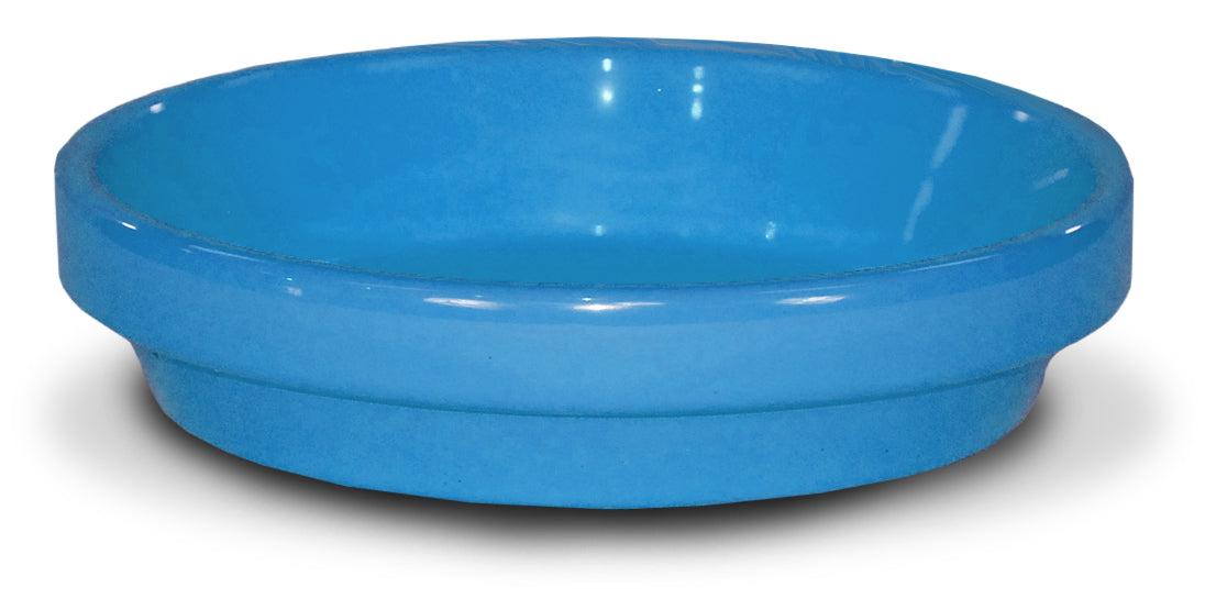X-Small Light Blue Powder Coated Tray product photo