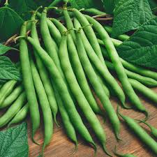 Green Beans Pole 6pack