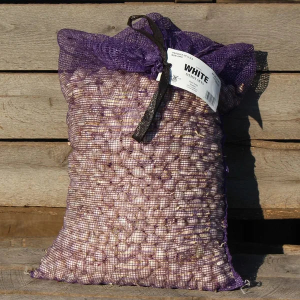 DVG onion sets white per lb product photo
