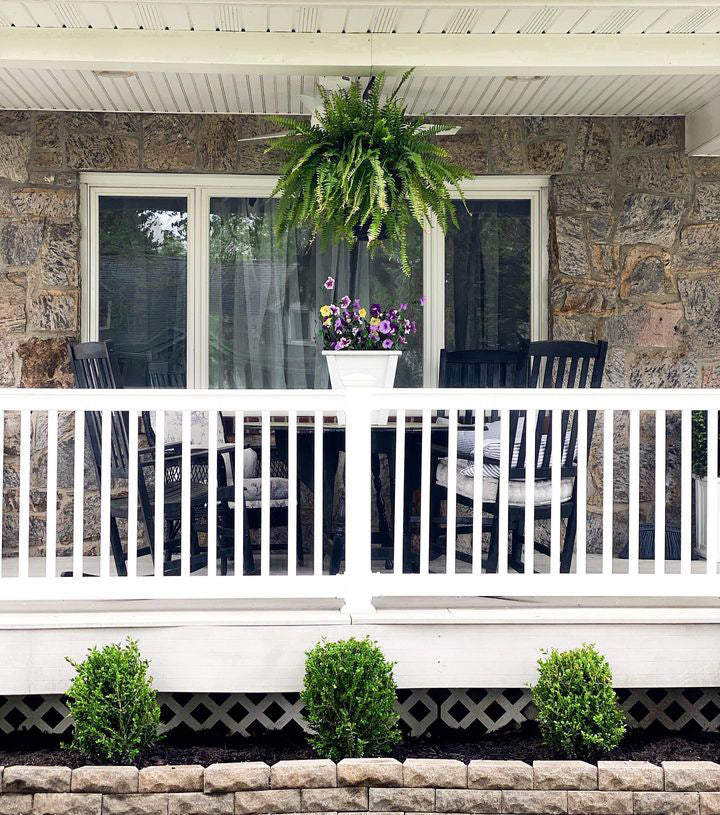 Boxwood &