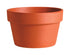 4.3” Azalea Pot product photo