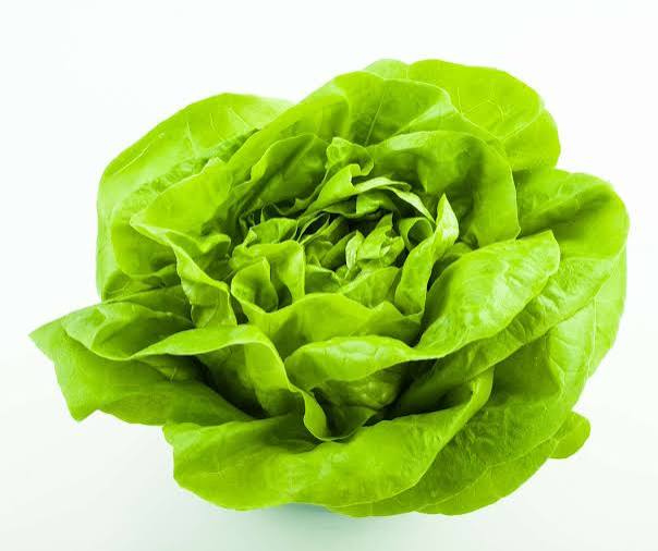 Lettuce Bibb 6pk