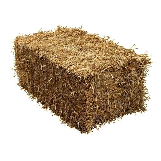 Straw Bale