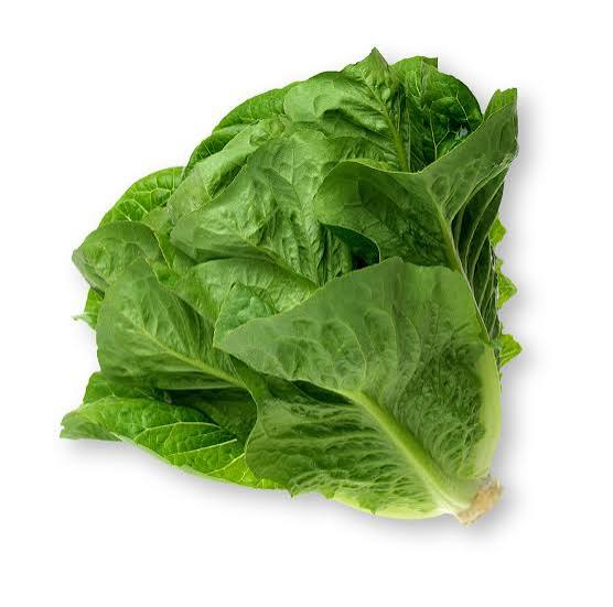 Lettuce Romaine 6pk