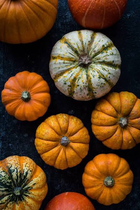 Pumpkin Mini