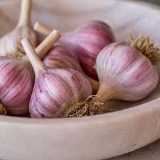 Garlic Spanish Roja Bulbs