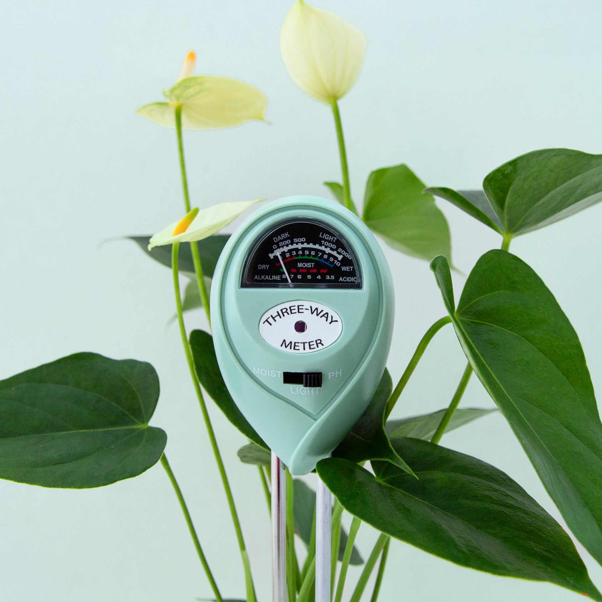 Jungle Club Three Way Meter Light Green product photo