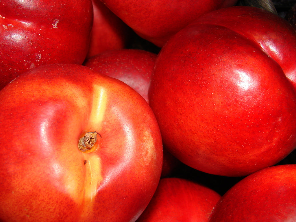 Patio Peach &