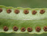 6" Fern Macho plant photo