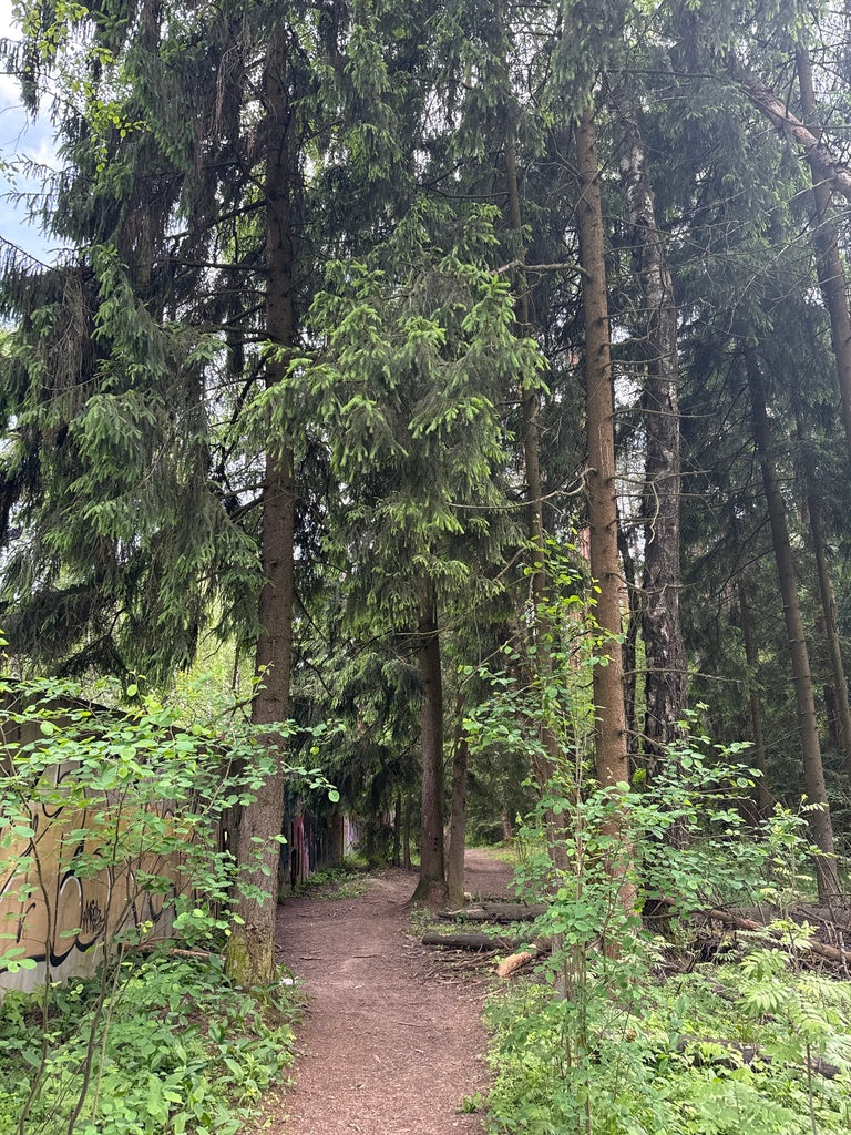 Spruce &