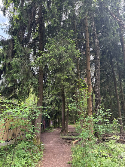 Spruce &