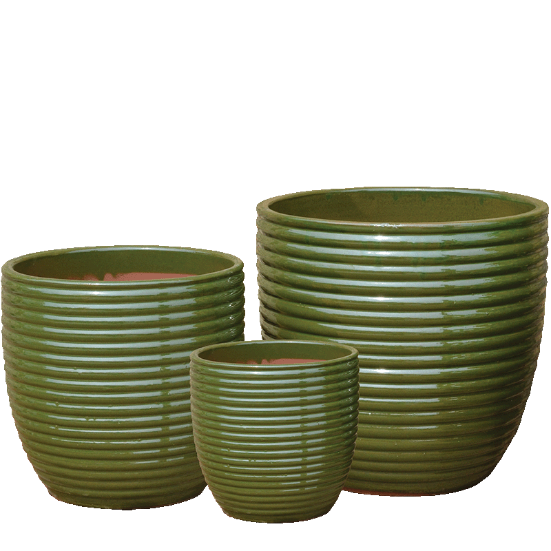 Raelynn Pots Green Large product photo