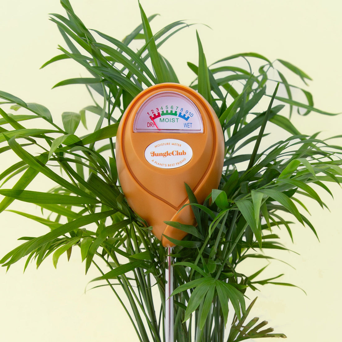 Jungle Club Moisture Meter Gold product photo