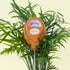 Jungle Club Moisture Meter Gold product photo