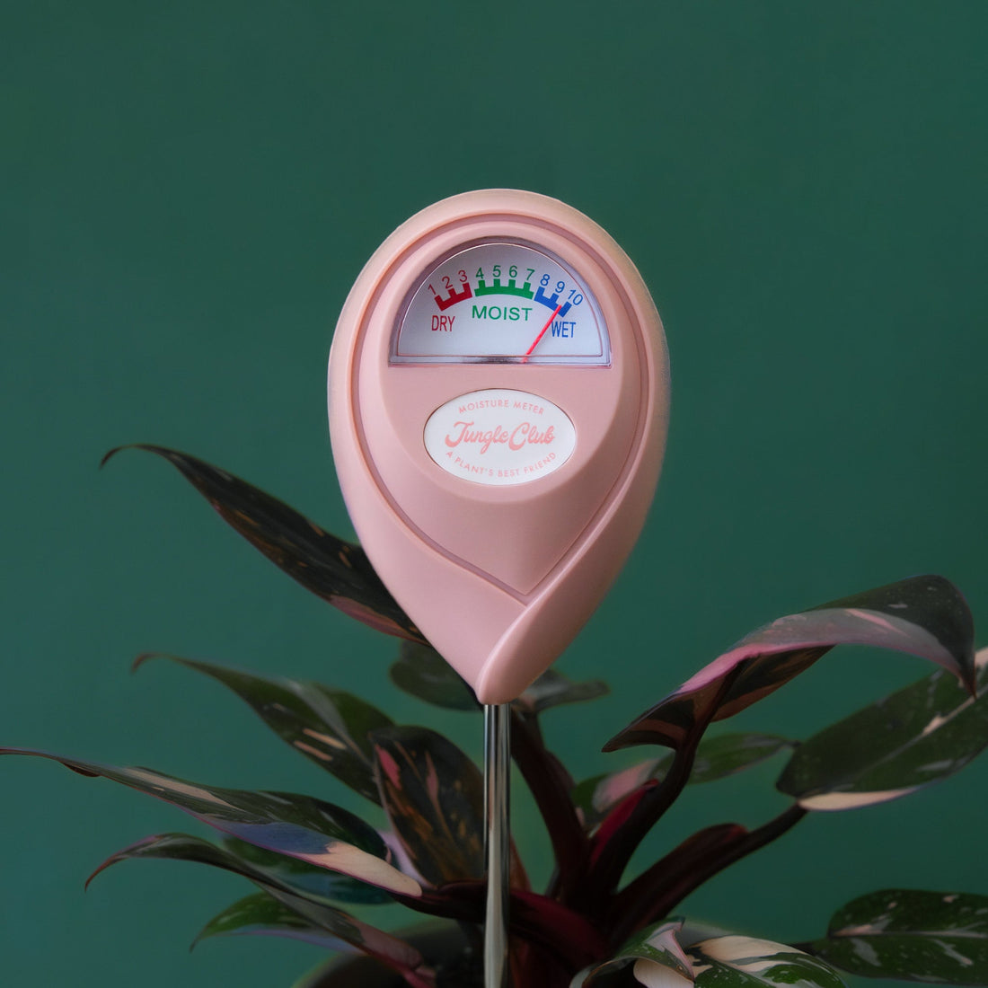 Jungle Club Moisture Meter Pink product photo