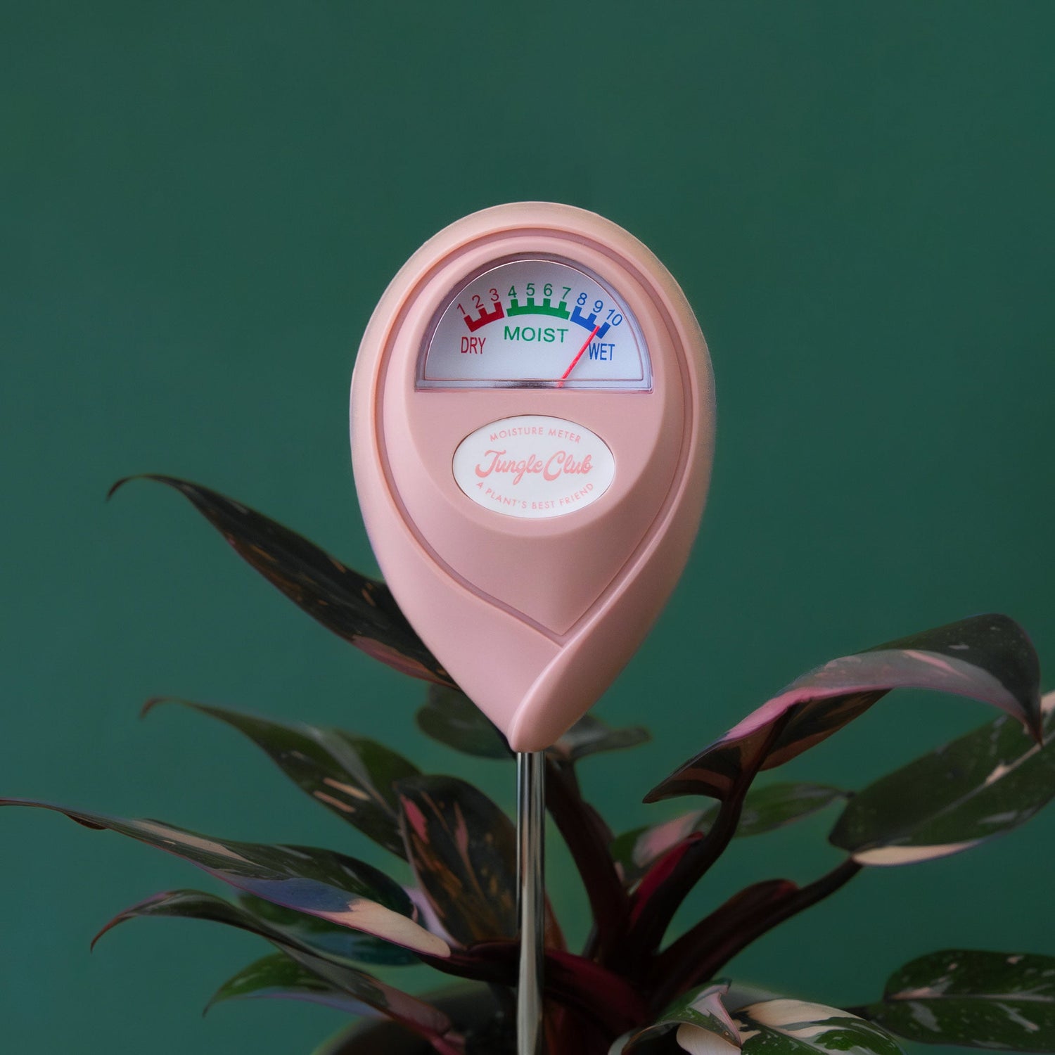 Jungle Club Moisture Meter Pink product photo
