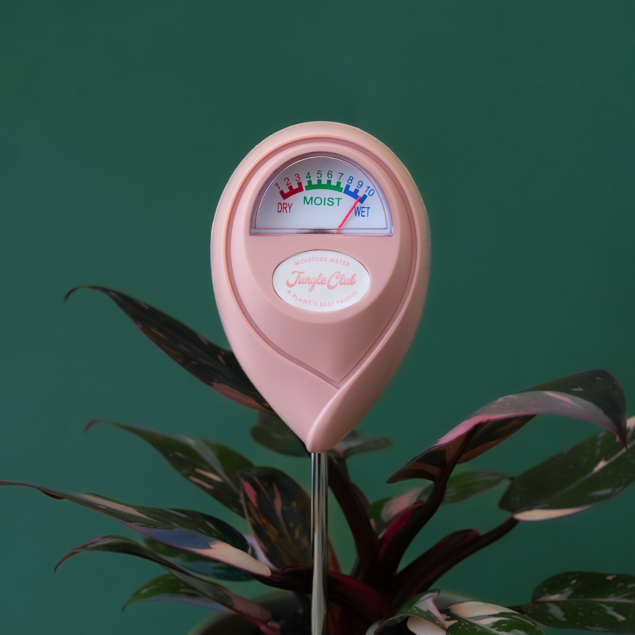Jungle Club Moisture Meter Pink product photo