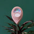Jungle Club Moisture Meter Pink product photo