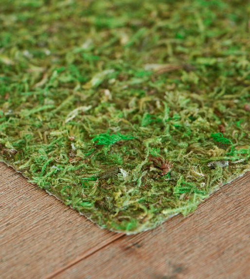 Mossy Mat Peel-N-Stick Roll product photo