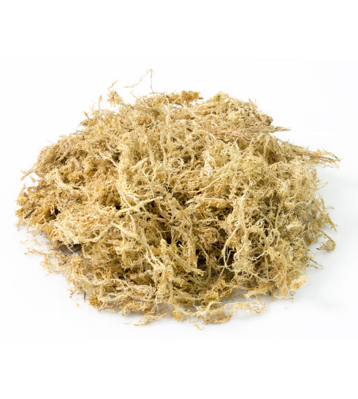 Sphagnum Moss (5-Star) product photo